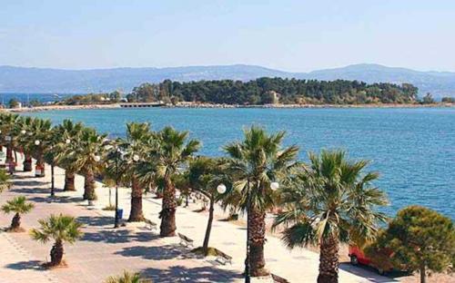 Eva στην περιοχή Eretria (Evia)