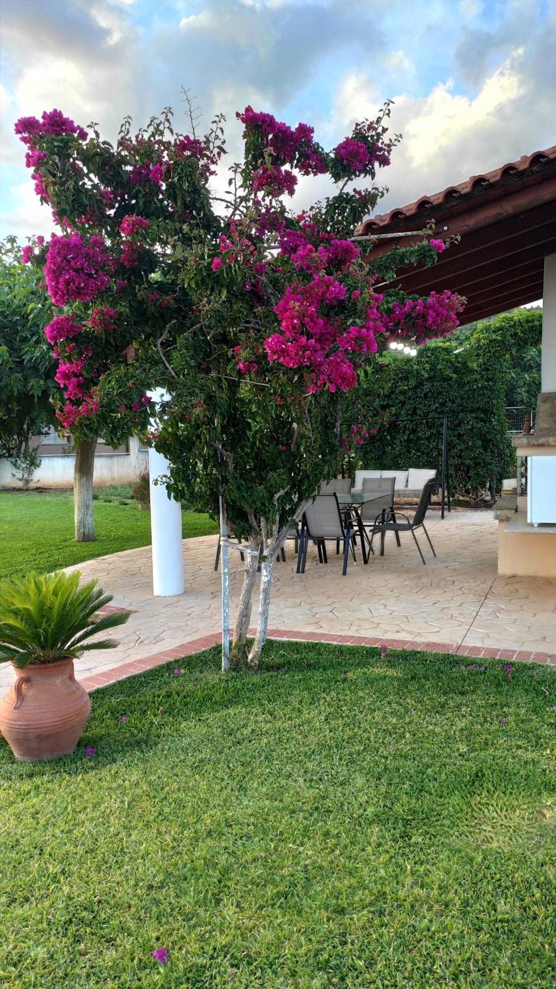 Eva στην περιοχή Villa *